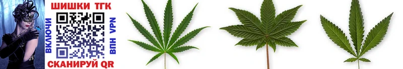 мега онион  купить   Ивангород  Конопля THC 21% 